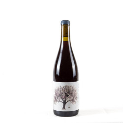 VINO DI ANNA VIGNA PIRAO ROSSO 2021