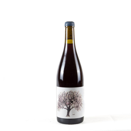 VINO DI ANNA VIGNA PIRAO ROSSO 2021