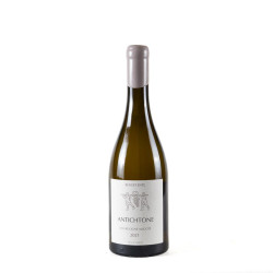 ENTE BENOIT ANTICHTONE BOURGOGNE ALIGOTÉ 2021