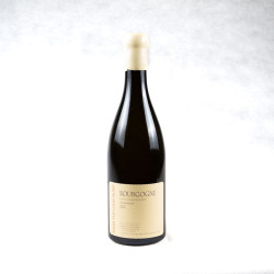 PIERRE-YVES COLIN-MOREY BOURGOGNE CHARDONNAY 2021