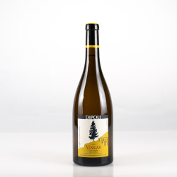 DIPOLI VOGLAR AA SAUVIGNON 2020