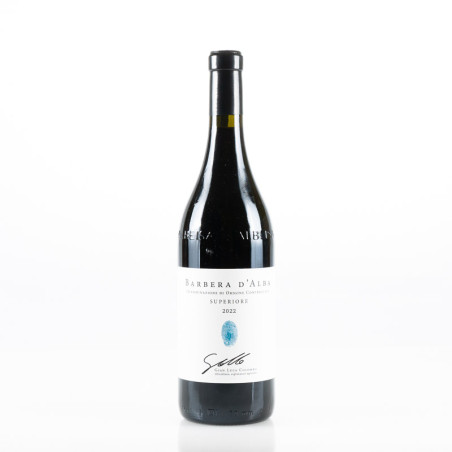 COLOMBO BARBERA D’ALBA SUPERIORE 2022