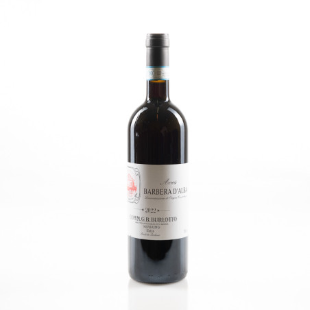 BURLOTTO AVES BARBERA D’ALBA 2022