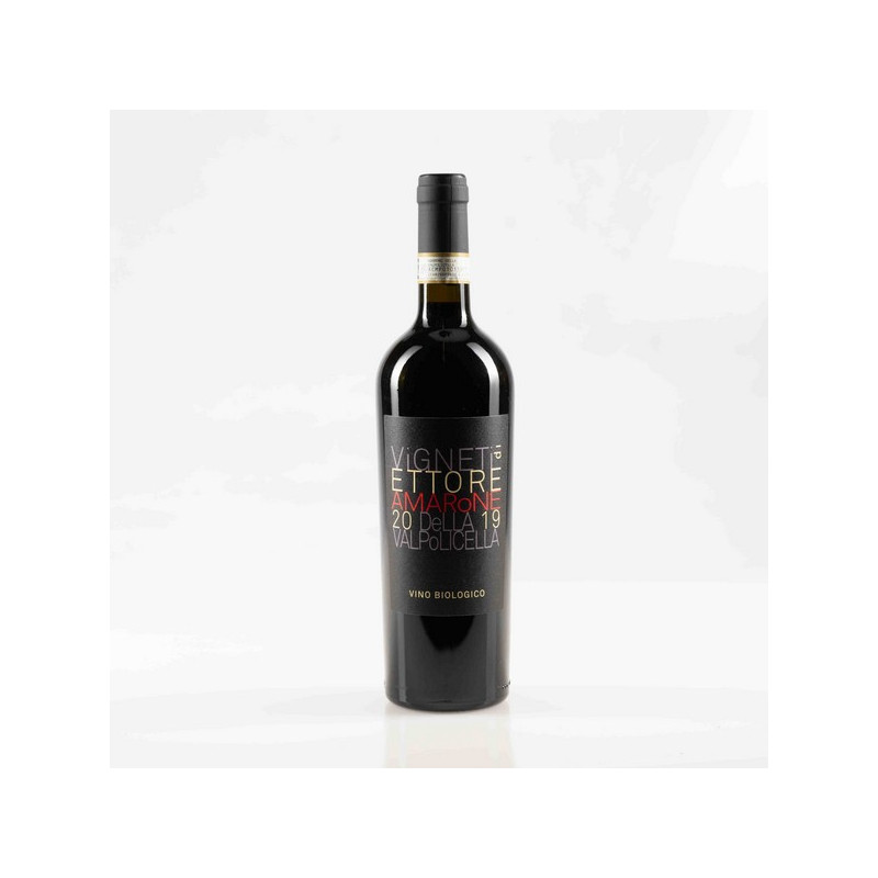 VIGNETI DI ETTORE AMARONE DELLA VALPOLICELLA CLASSICO DOCG 2019 VIGNETI DI ETTORE AMARONE DELLA VALPOLICELLA CLASSICO DOCG 2019