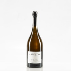 POUILLON LES BLANCHIENS PREMIER CRU BRUT NATURE 2018 MAGNUM 1,5L