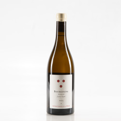 LEPETIT DE LA BIGNE - LA PIERRE RONDE BOURGOGNE ALIGOTÉ JEUNES VIGNES 2023