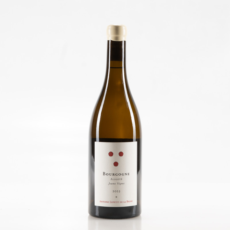 LEPETIT DE LA BIGNE - LA PIERRE RONDE BOURGOGNE ALIGOTÉ JEUNES VIGNES 2023 LEPETIT DE LA BIGNE - LA PIERRE RONDE BOURGOGNE ALIGOTÉ JEUNES VIGNES 2023