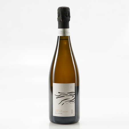 LOU DUMONT VIGNES DE GYÉ-SUR-SEINE BRUT NATURE 2020