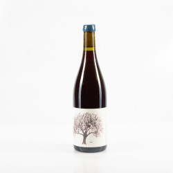 VINO DI ANNA VIGNA PIRAO ROSSO 2022