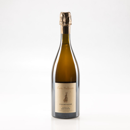 DELOUVIN NOWACK CROIX MALHERME BLANC DE NOIRS BRUT NATURE