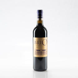 CHÂTEAU CANTENAC-BROWN MARGAUX BRIO DE CANTENAC-BROWN 2017