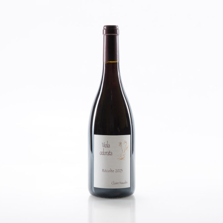 NAUDIN CÔTE DE NUITS VILLAGES ROUGE VIOLA ODORATA 2023