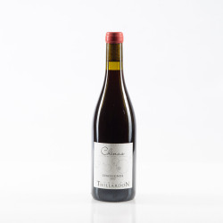 THILLARDON CHÉNAS CHASSIGNOL 2023