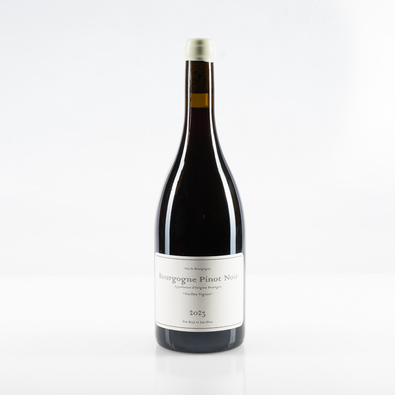 LOU DUMONT BOURGOGNE PINOT NOIR VIEILLES VIGNES BIO 2023
