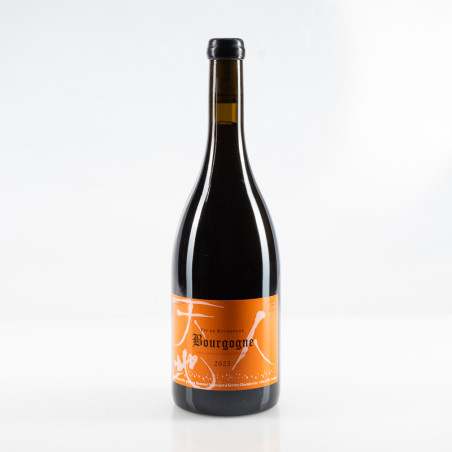 LOU DUMONT BOURGOGNE ROUGE 2023
