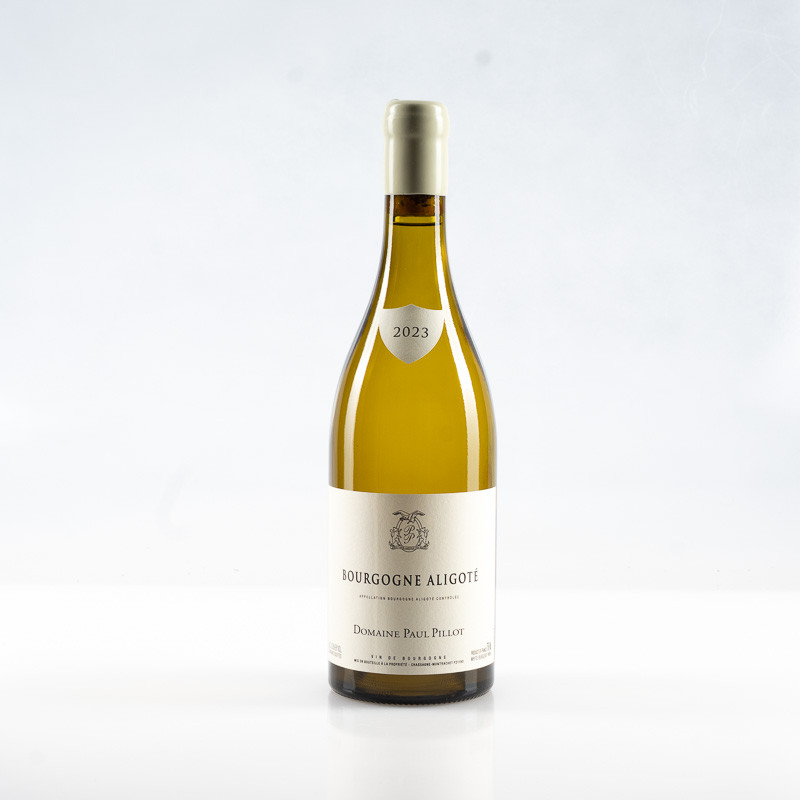 PILLOT PAUL BOURGOGNE ALIGOTÉ 2023