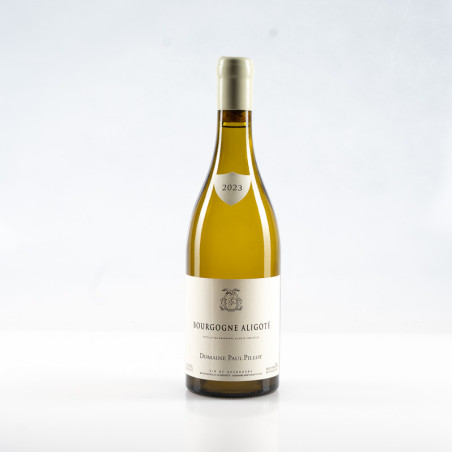PILLOT PAUL BOURGOGNE ALIGOTÉ 2023