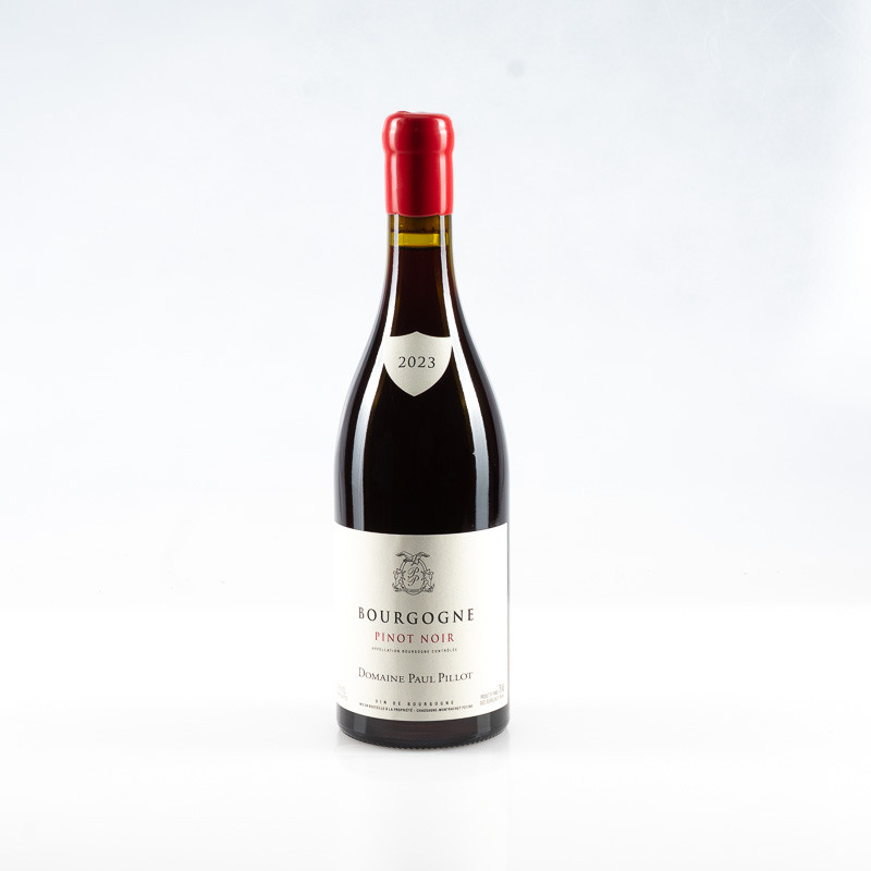 PILLOT PAUL BOURGOGNE PINOT NOIR 2023