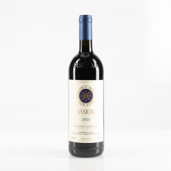 SAN GUIDO SASSICAIA BOLGHERI 2023
