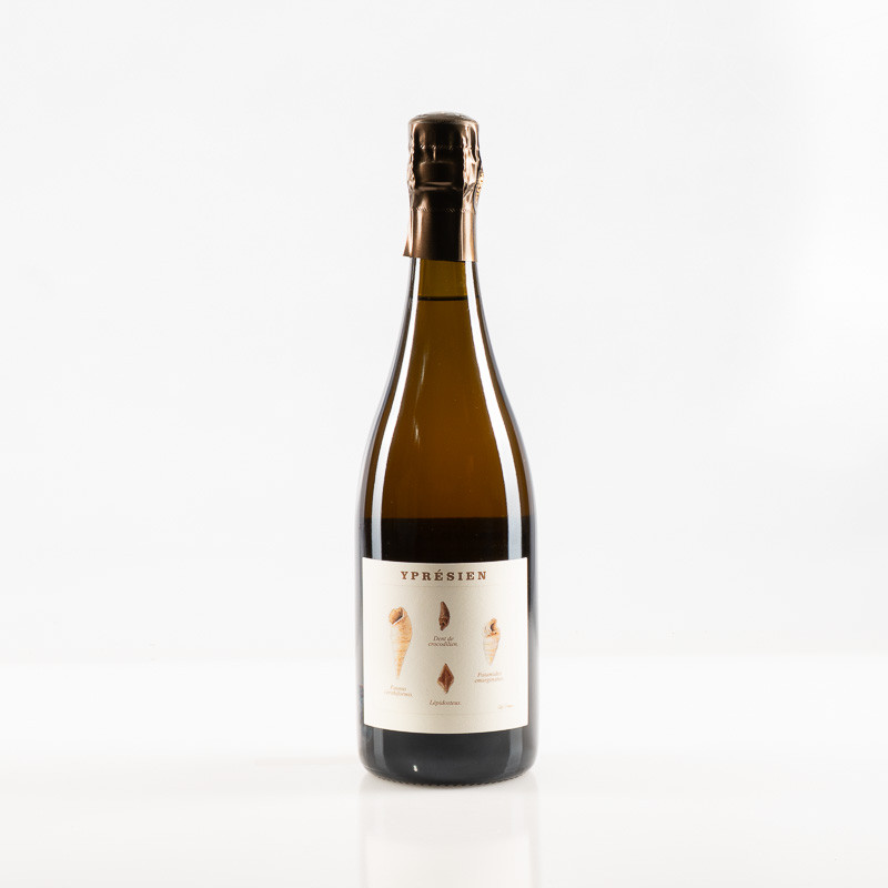 LEGRAND-LATOUR YPRÉSIEN BLANC DE NOIRS BRUT NATURE 2021 - Dég. 03/26