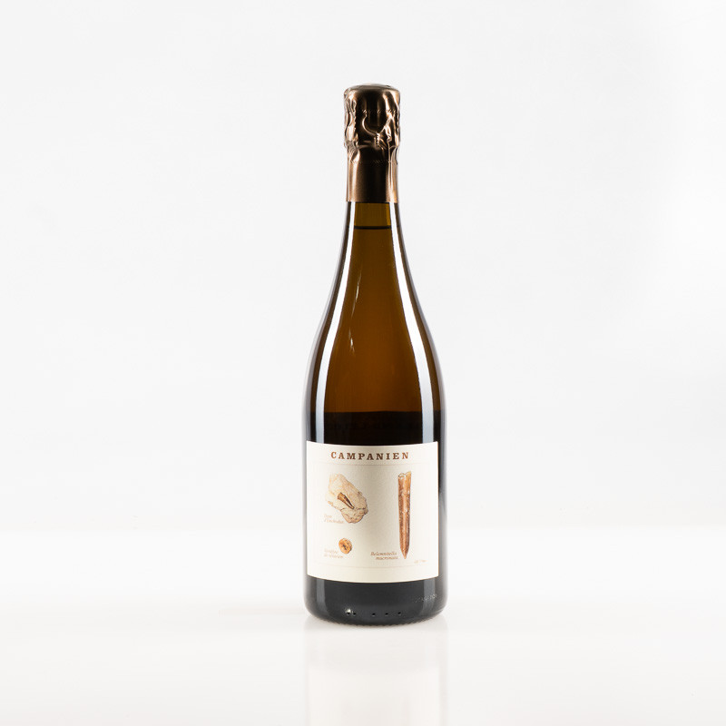 LEGRAND CAMPANIEN BLANC DE NOIRS BRUT NATURE 2020 - Dég. 01/26