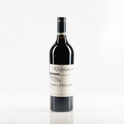 QUINTODECIMO TERRA D'ECLANO 2023