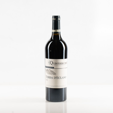 QUINTODECIMO TERRA D'ECLANO 2023