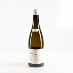 SAUZET BOURGOGNE BLANC 2024