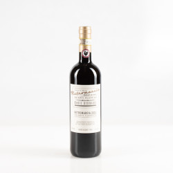 MONTE BERNARDI RETROMARCIA 2024