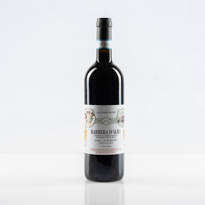 BURLOTTO BARBERA D’ALBA 2024