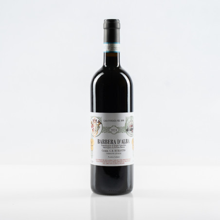 BURLOTTO BARBERA D’ALBA 2024