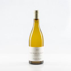PILLOT THIERRY SAINT-AUBIN LES CASTETS PREMIER CRU BLANC 2023