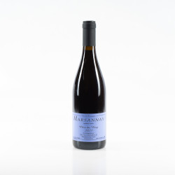 SYLVAIN PATAILLE MARSANNAY ROUGE CLOS DU ROY 2023